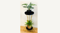 Load image into Gallery viewer, Black & Gold Two-Tier Metal Plant Stand | 60cm & 70cm