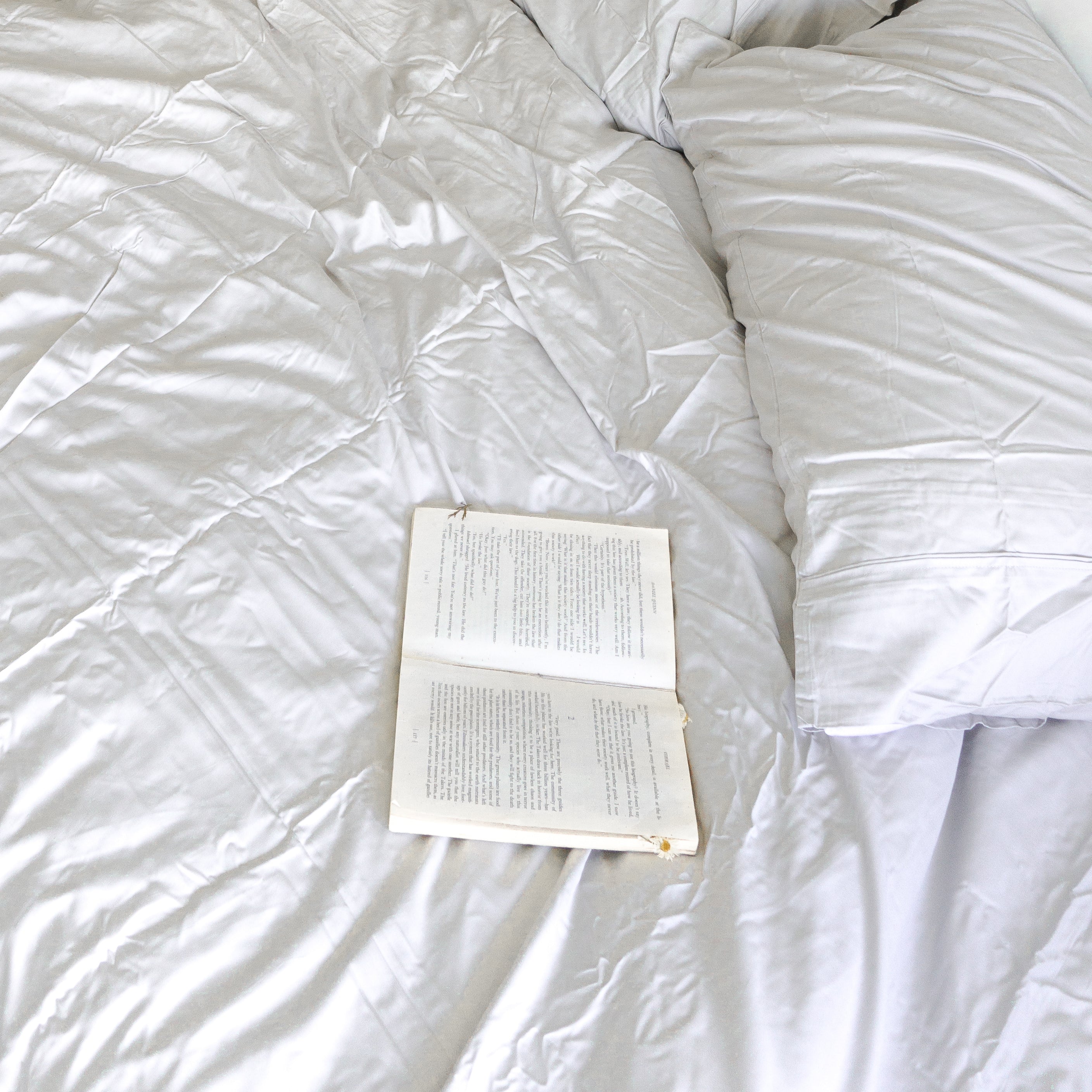 The Bambusa Diary: Annie Tarasova // DreamyMoons