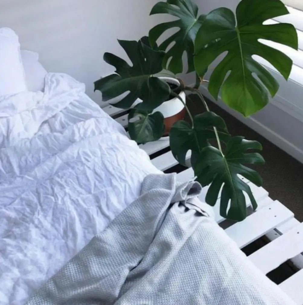 Sleep with Bamboo | Bambusa Customer Reviews