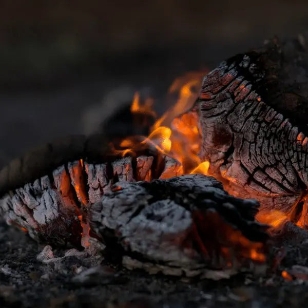 The Lowdown on Activated Charcoal + NEW Products!