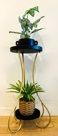 Load image into Gallery viewer, Black & Gold Two-Tier Metal Plant Stand | 60cm & 70cm
